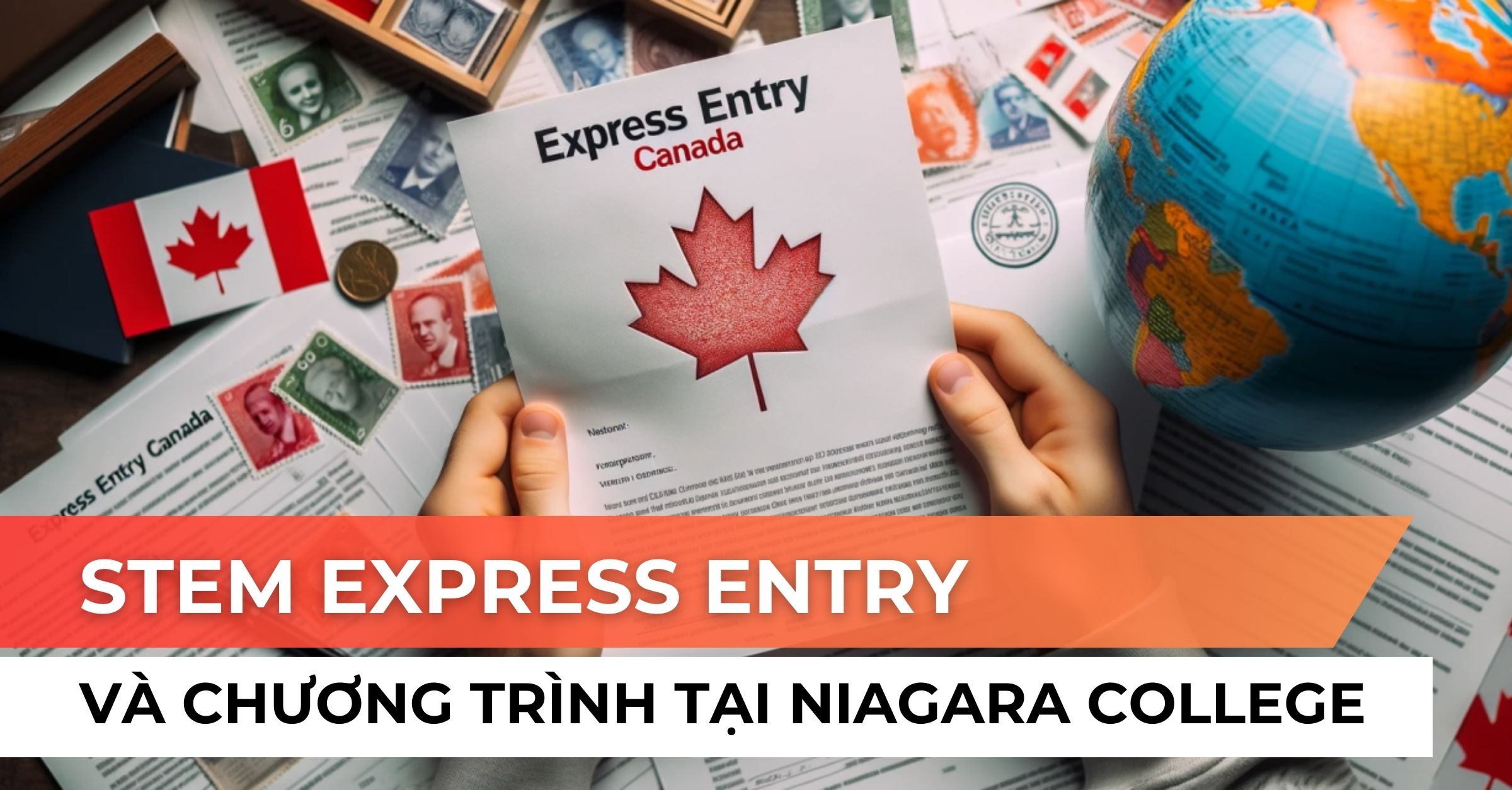 STEM Express Entry và các chương trình tại Niagara College