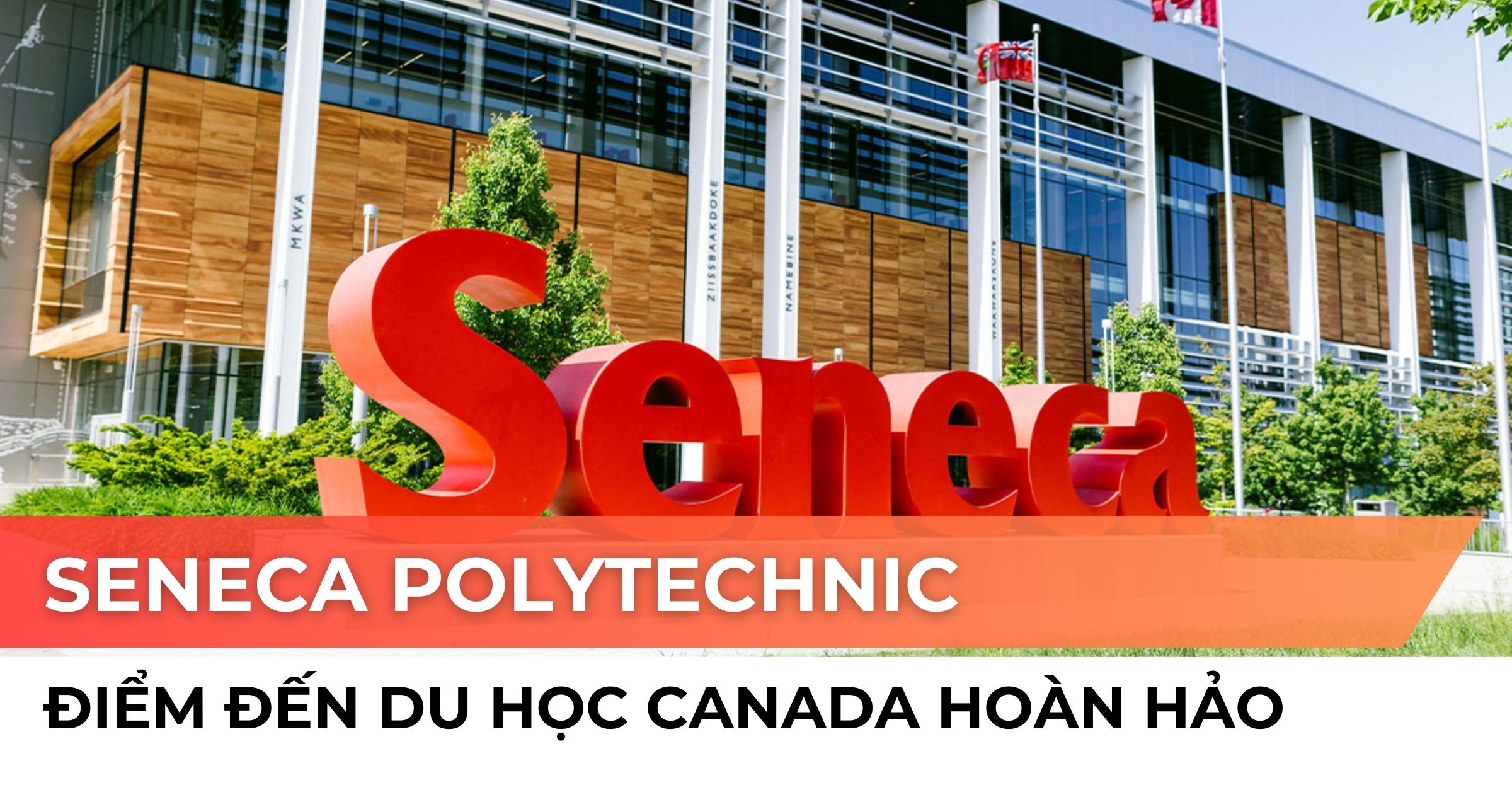 Seneca Polytechnic: Điểm đến du học Canada hoàn hảo