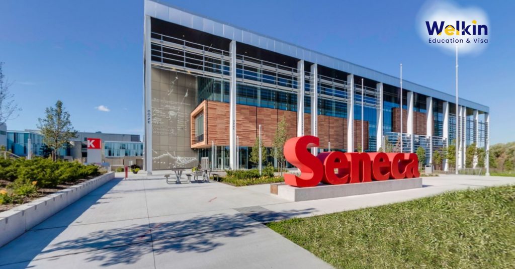 Seneca Polytechnic: Điểm đến du học Canada hoàn hảo